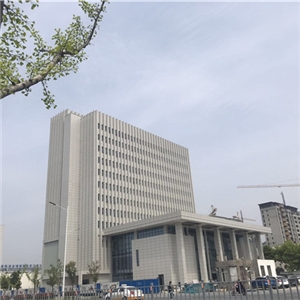 蕪湖市婦幼保健院-仿石保溫裝飾一體板